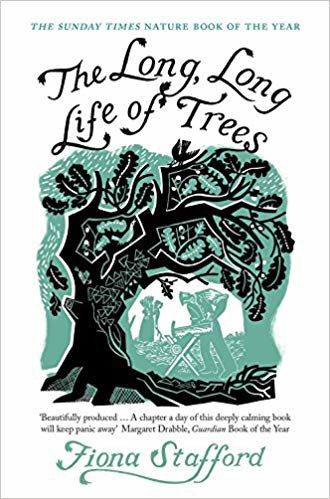 The Long, Long Life of Trees